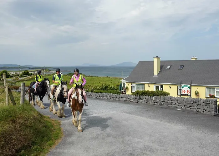 Lejlighed Seabreeze Renvyle